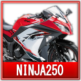 カワサキニンジャ250R買取