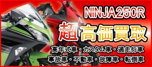 車種別特集　カワサキ　NINJA250R