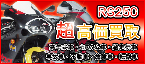 車種別特集　アプリリア　RS250