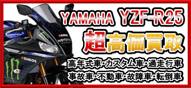 車種別特集　ヤマハ　YZF-R25（RG43J/RG10J）