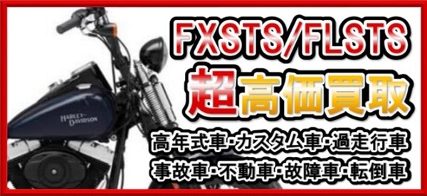 車種別特集　ハーレーダビッドソン　FXSTS,FLSTS　スプリンガーソフテイル,ヘリテイジスプリンガー