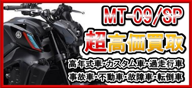 車種別特集　ヤマハ　MT-09